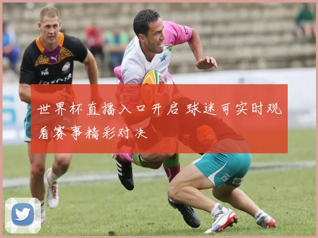 世界杯直播入口开启 球迷可实时观看赛事精彩对决