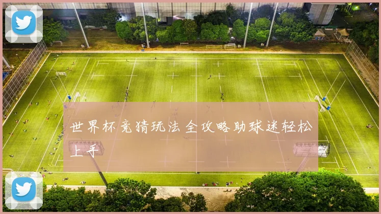 世界杯竞猜玩法全攻略助球迷轻松上手