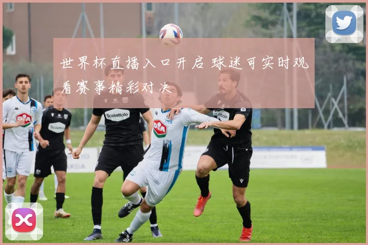 世界杯直播入口开启 球迷可实时观看赛事精彩对决